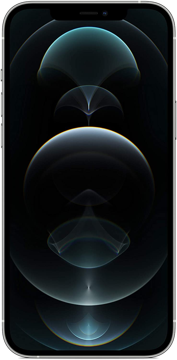 Apple iPhone 12 Pro Max in de kleur Zilver