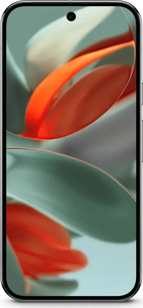 Google Pixel 9 Pro in de kleur Obsidian