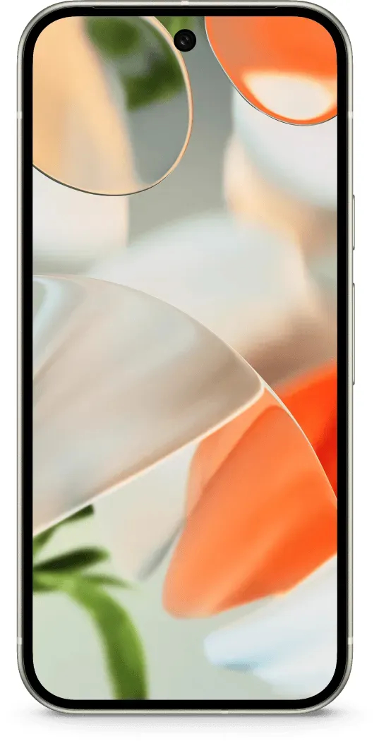 Google Pixel 9 in de kleur Obsidian