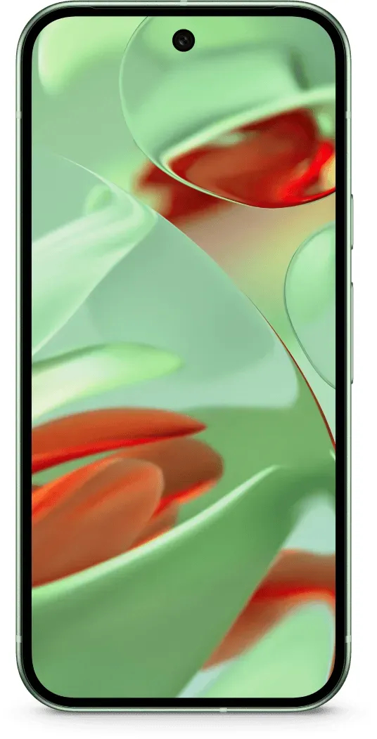 Google Pixel 9 in de kleur Wintergreen